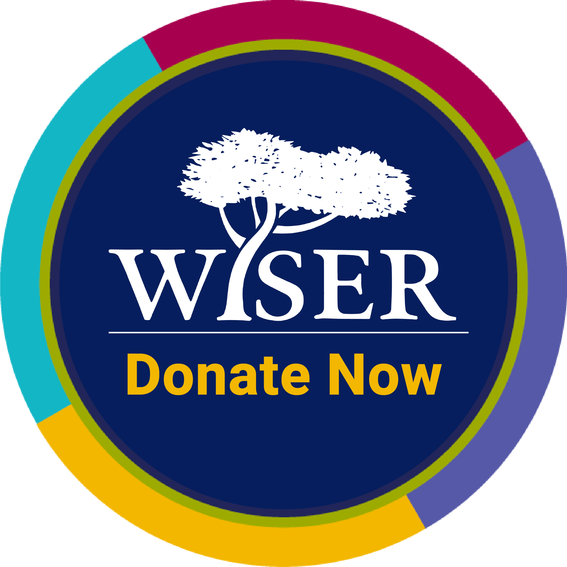WISER Logo, with "Donate Now"